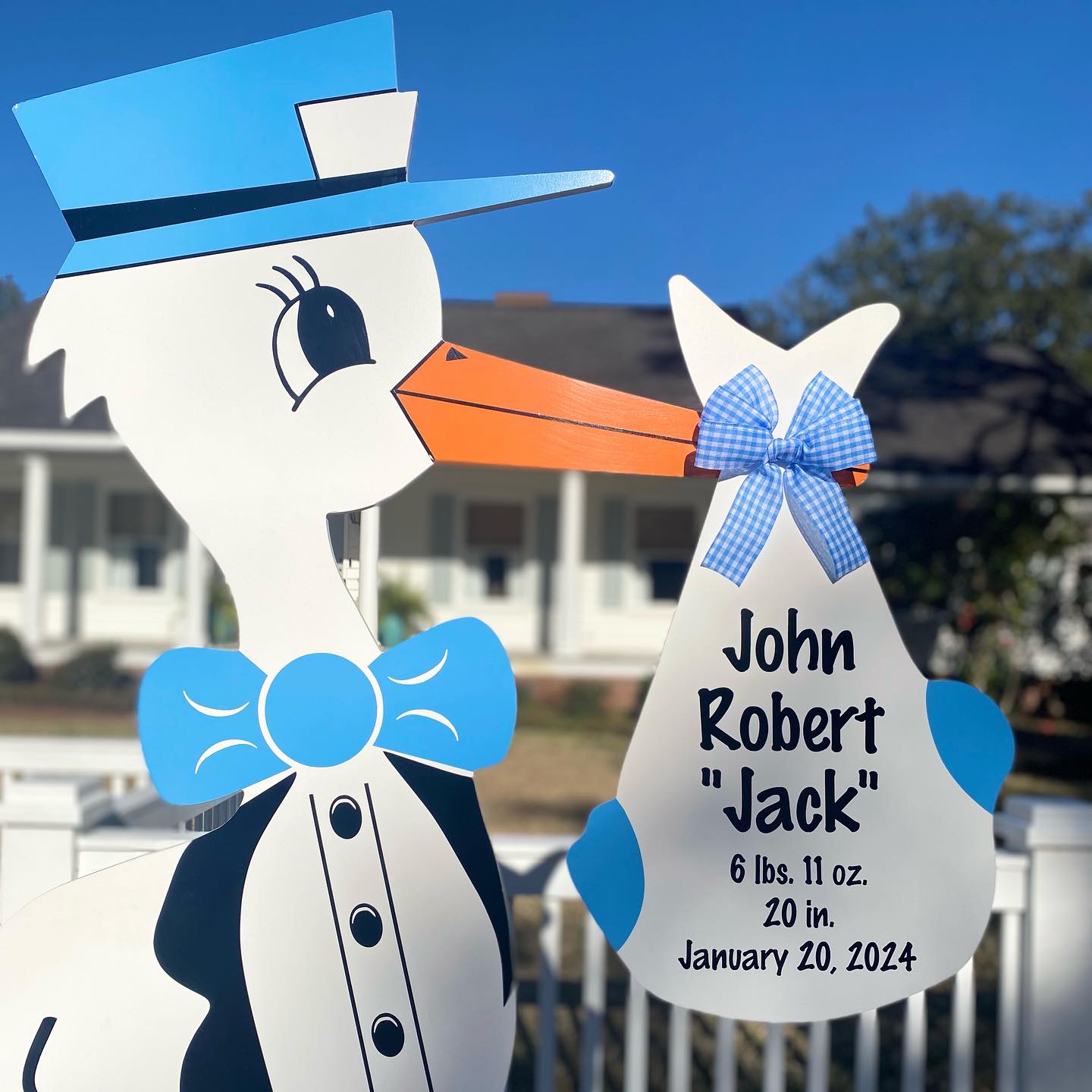 Baby Announcement Stork Yard Sign in Aiken, SC