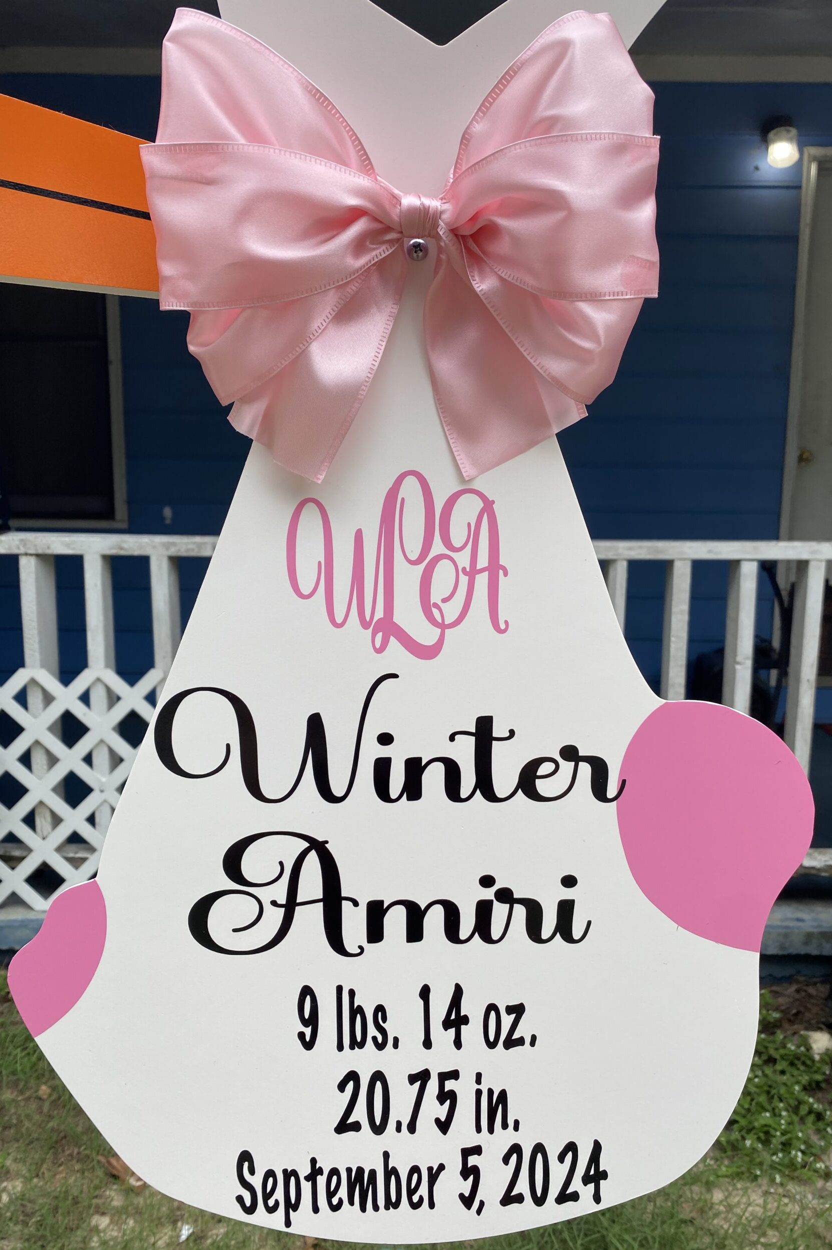 Welcome to the World Winter Amiri!