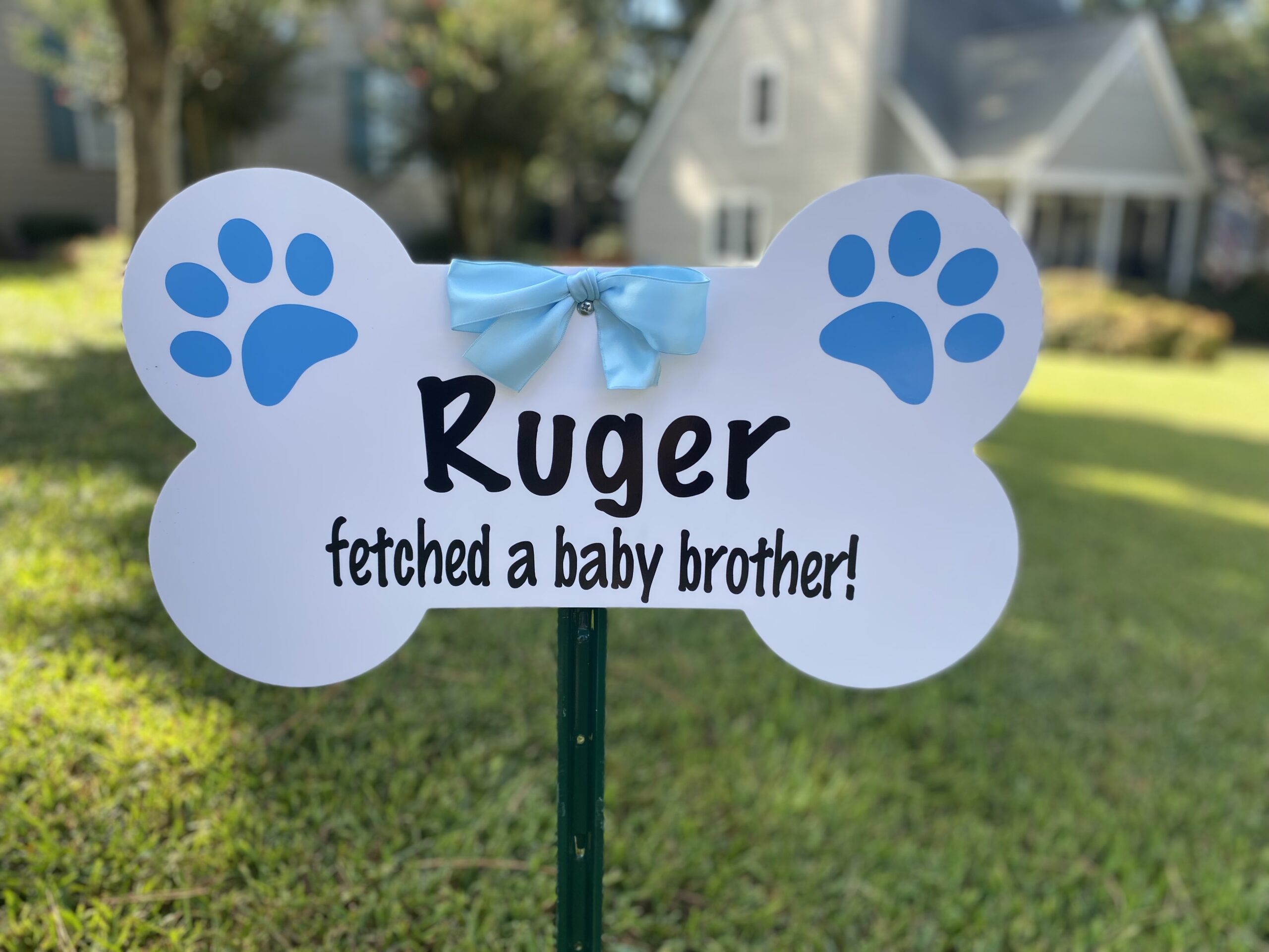 Ruger Fetched a Baby Brother!